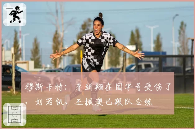 穆斯卡特：李新翔在国字号受伤了，刘若钒、王振澳已跟队合练