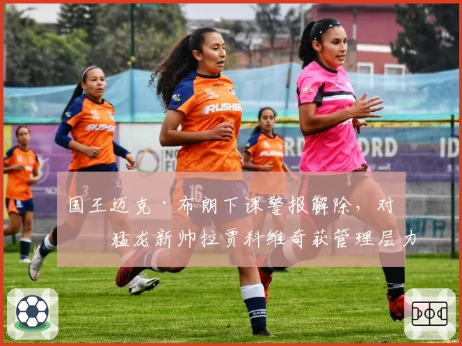 国王迈克·布朗下课警报解除，对比猛龙新帅拉贾科维奇获管理层力挺殊途同归